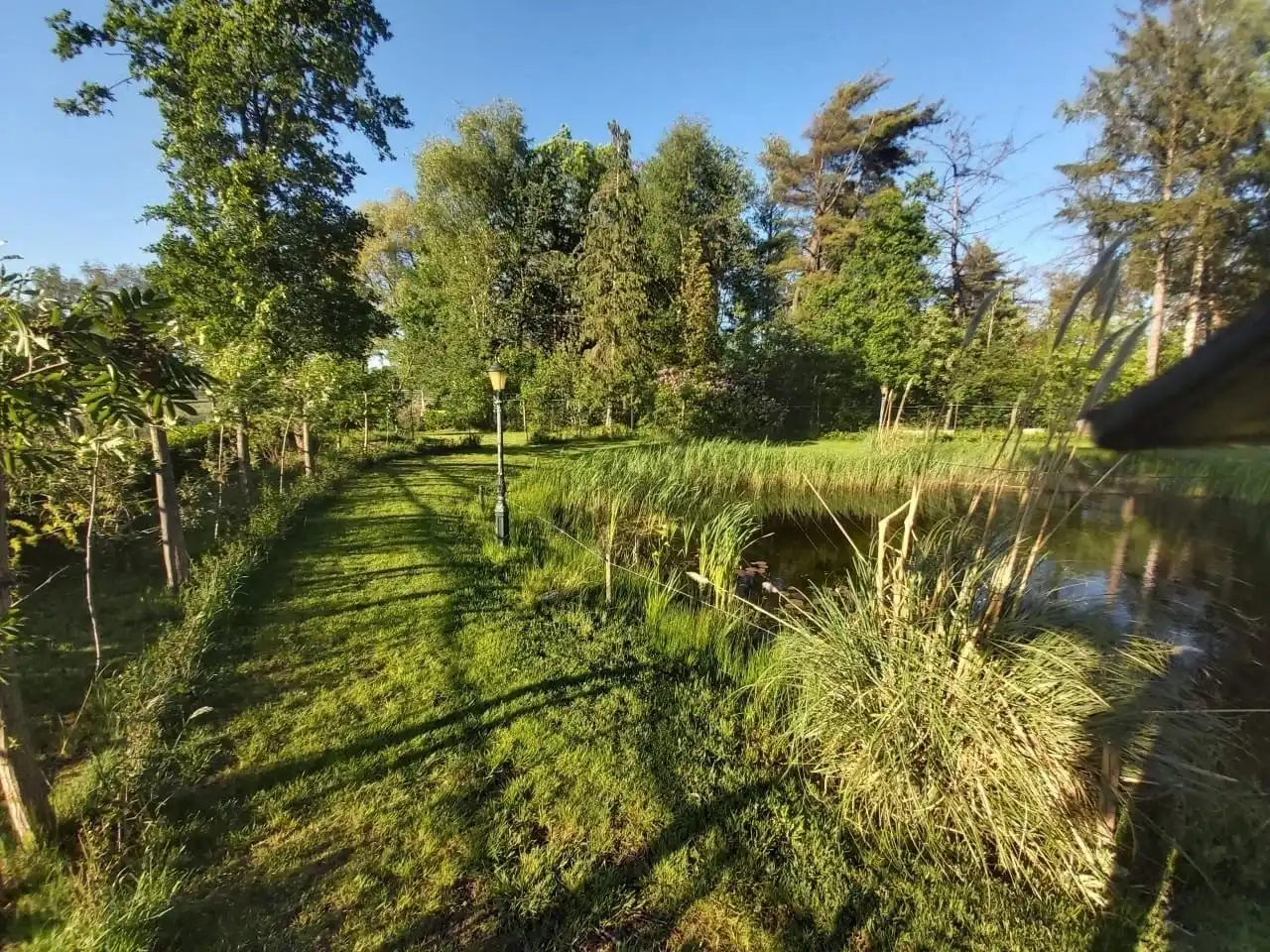 Uniek stuk recreatiegrond met vijver en bouwmogelijkheid – 2154 m². foto 3