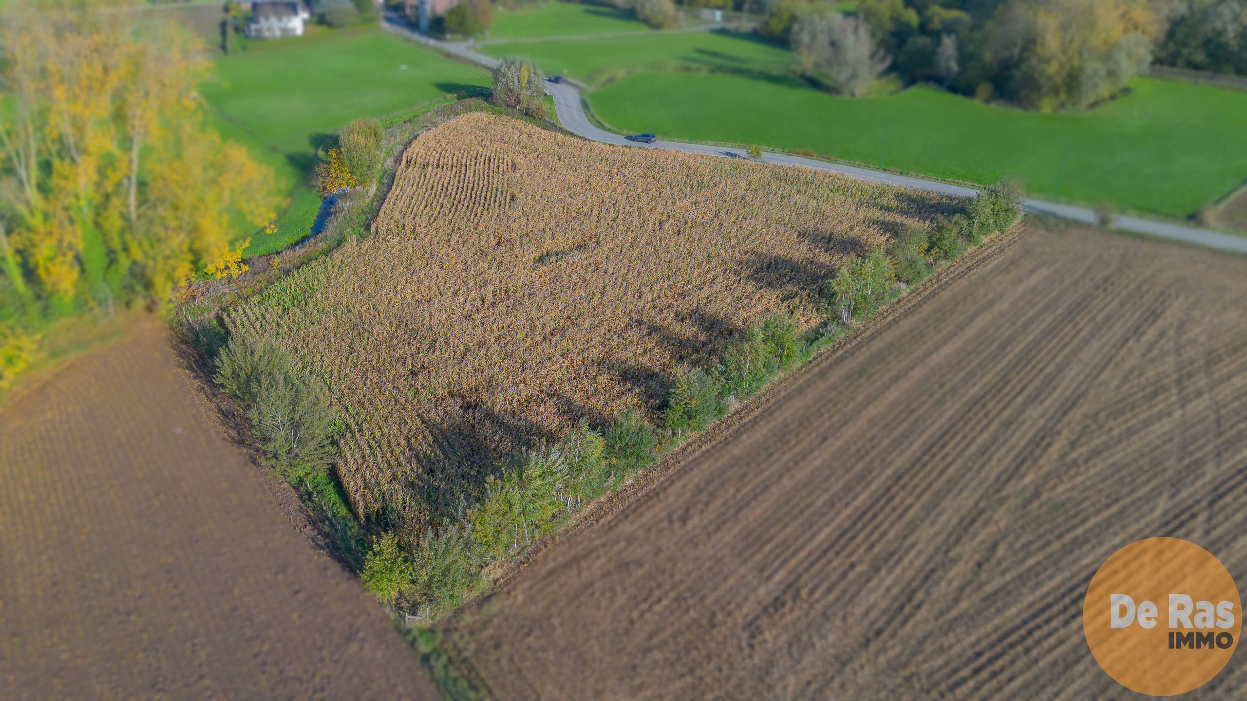 AALST - Landbouwgrond/weide 81a foto 5