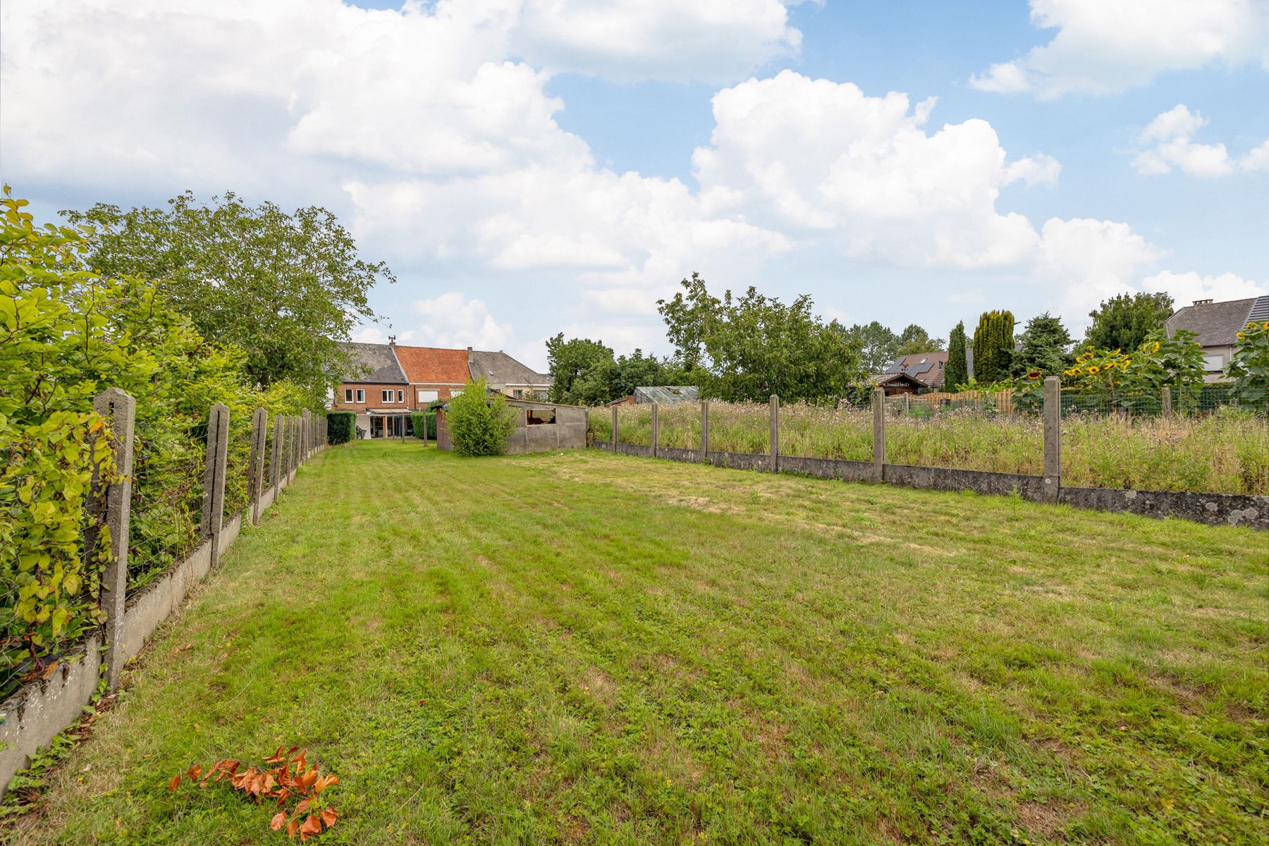 Op te frissen woning met grote tuin, landelijke ligging.  foto 23