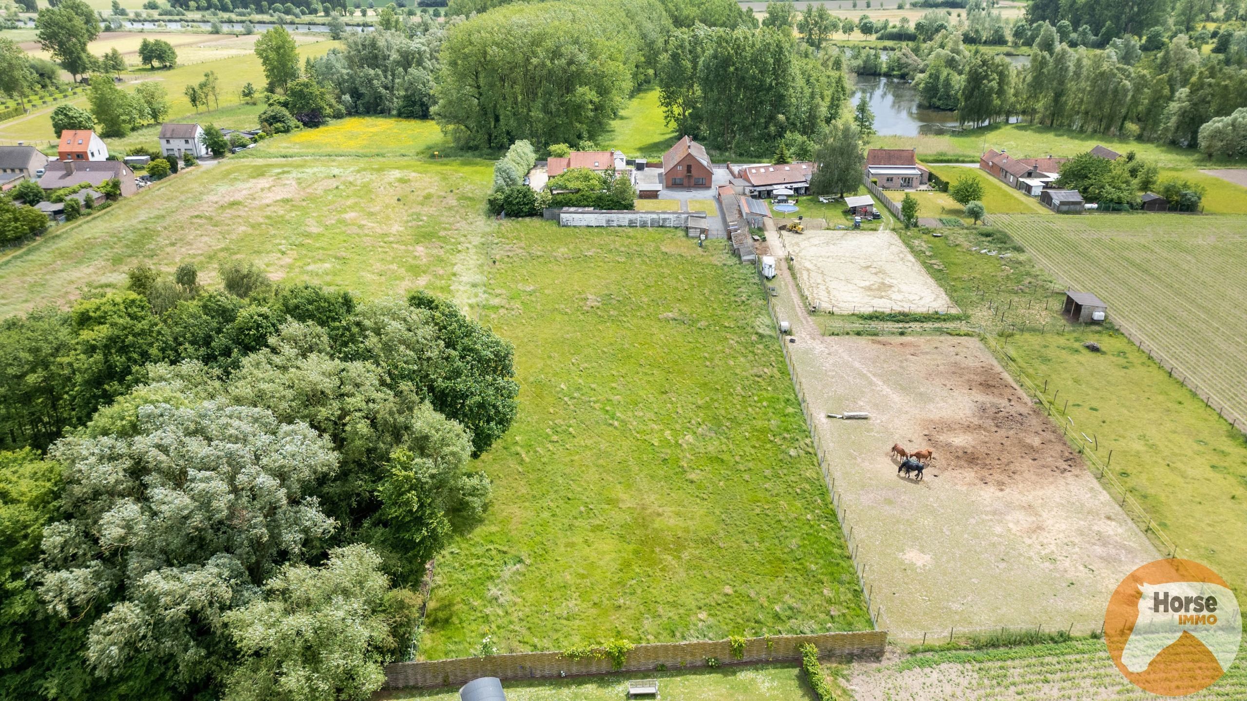 ZINGEM - Rustig gelegen woning op 60are foto 3