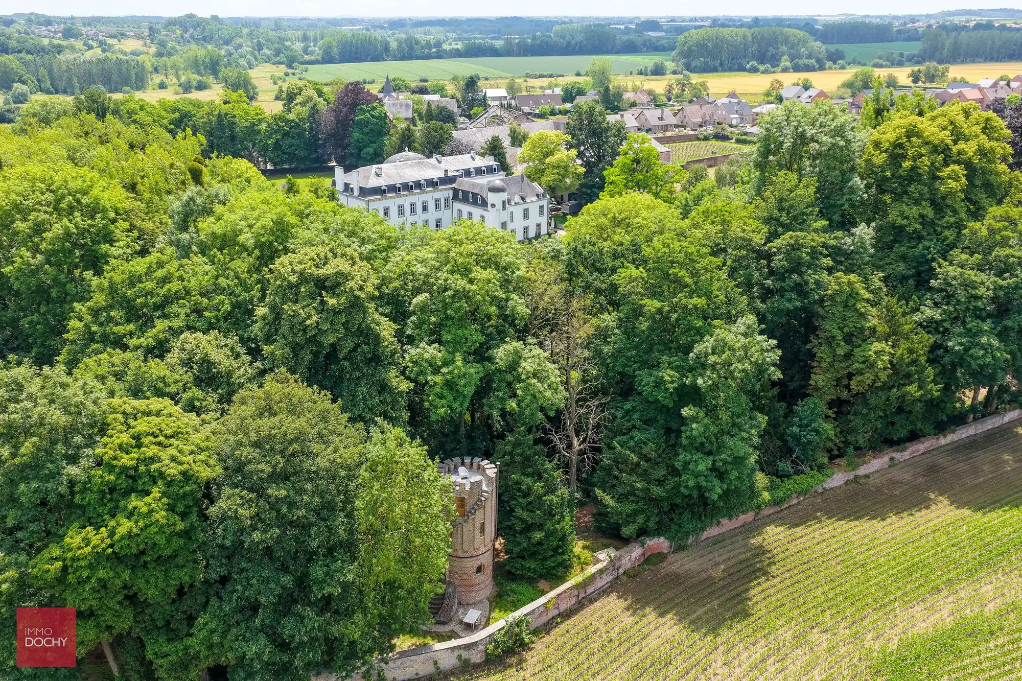 Prachtig gerestaureerd authentiek landhuis te Gors-Opleeuw (gelegen tussen Hasselt en Tongeren) foto 14