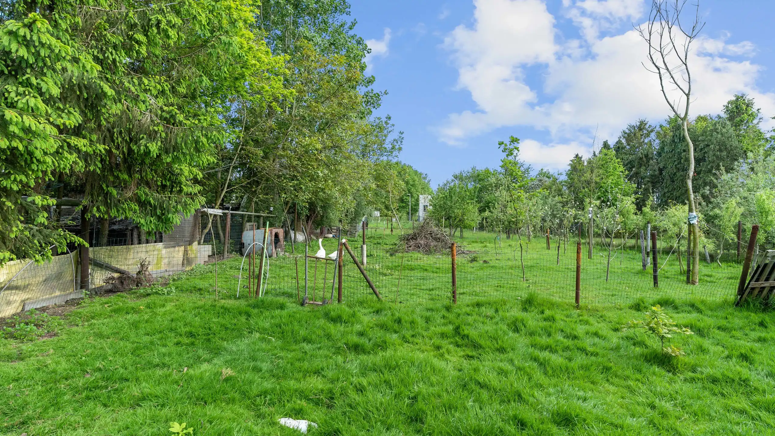 Huis te koop foto 10