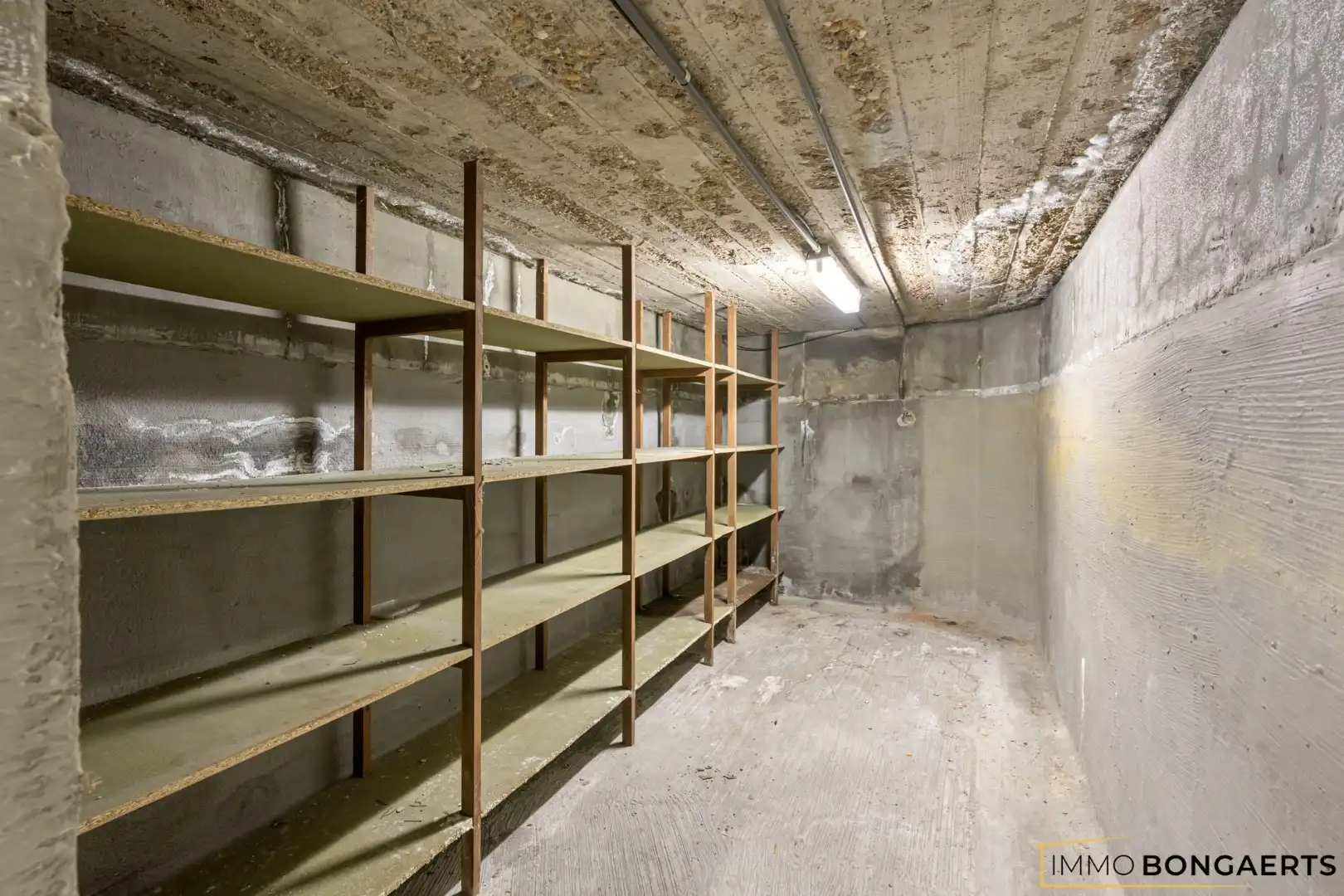 Rustig gelegen woning op een uitzonderlijk perceel foto 21