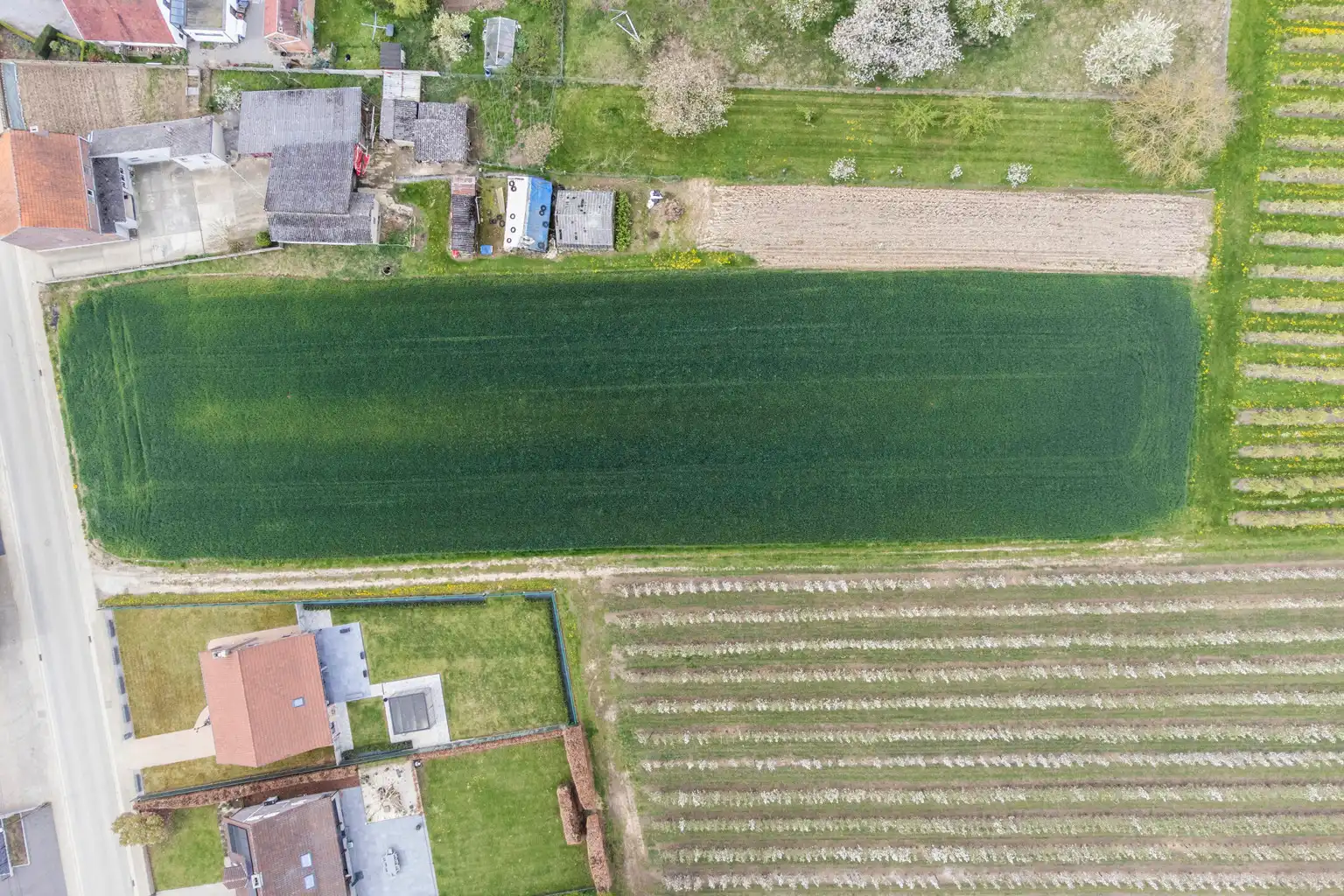 MOOI GELEGEN BOUWGRONDEN IN GLABBEEK  (LOT1) foto 6