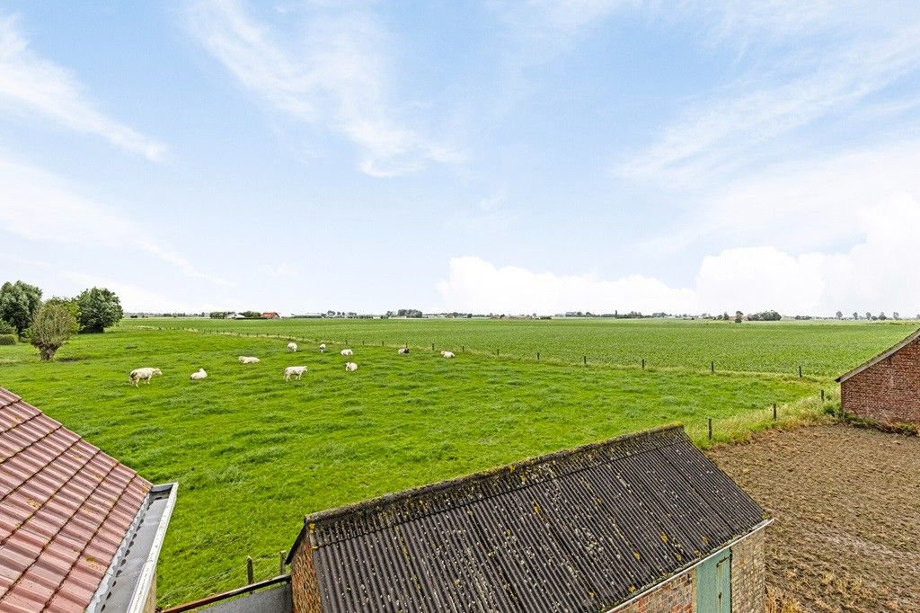 ALVERINGEM: Voormalige herberg "De Rustplaats" waar grazende koeien Uw dichtste buur zijn in een weids en open landschap op 1.000m² grondoppervlakte foto 23