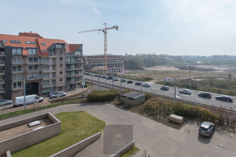 Buitenstaanplaats BP 420 - Residentie Duinenveld. foto 3