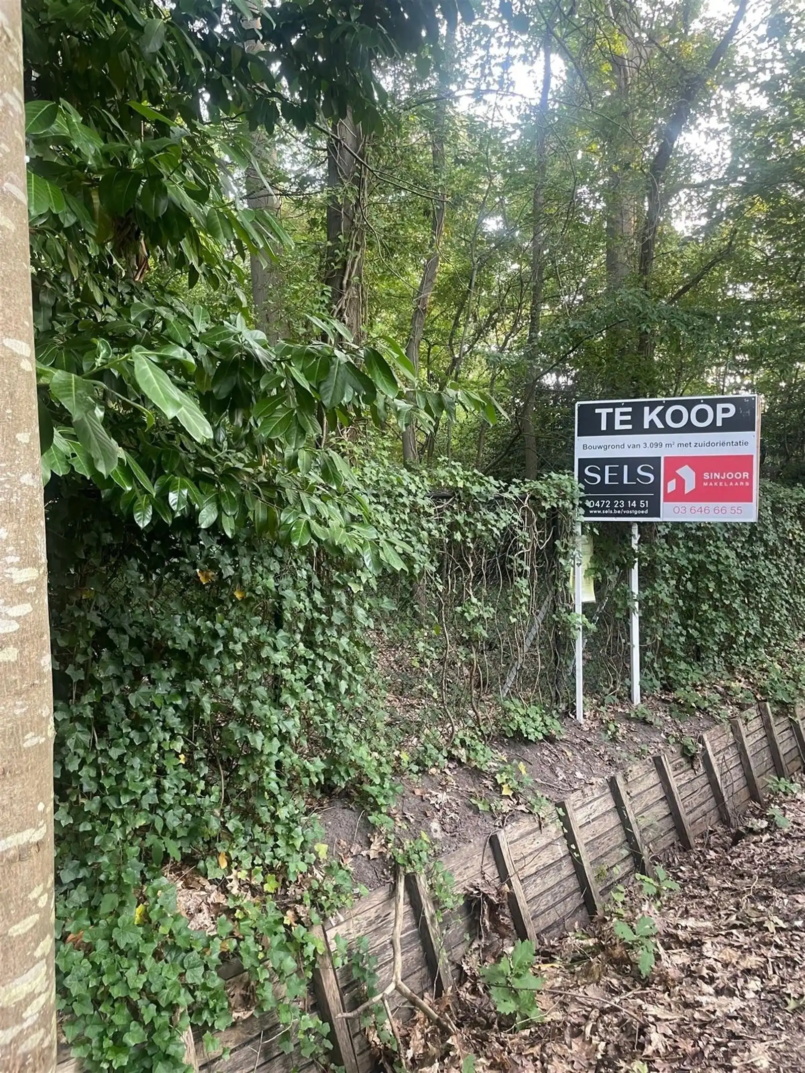 Open bouwgrond van ca. 3.755 m² foto 3