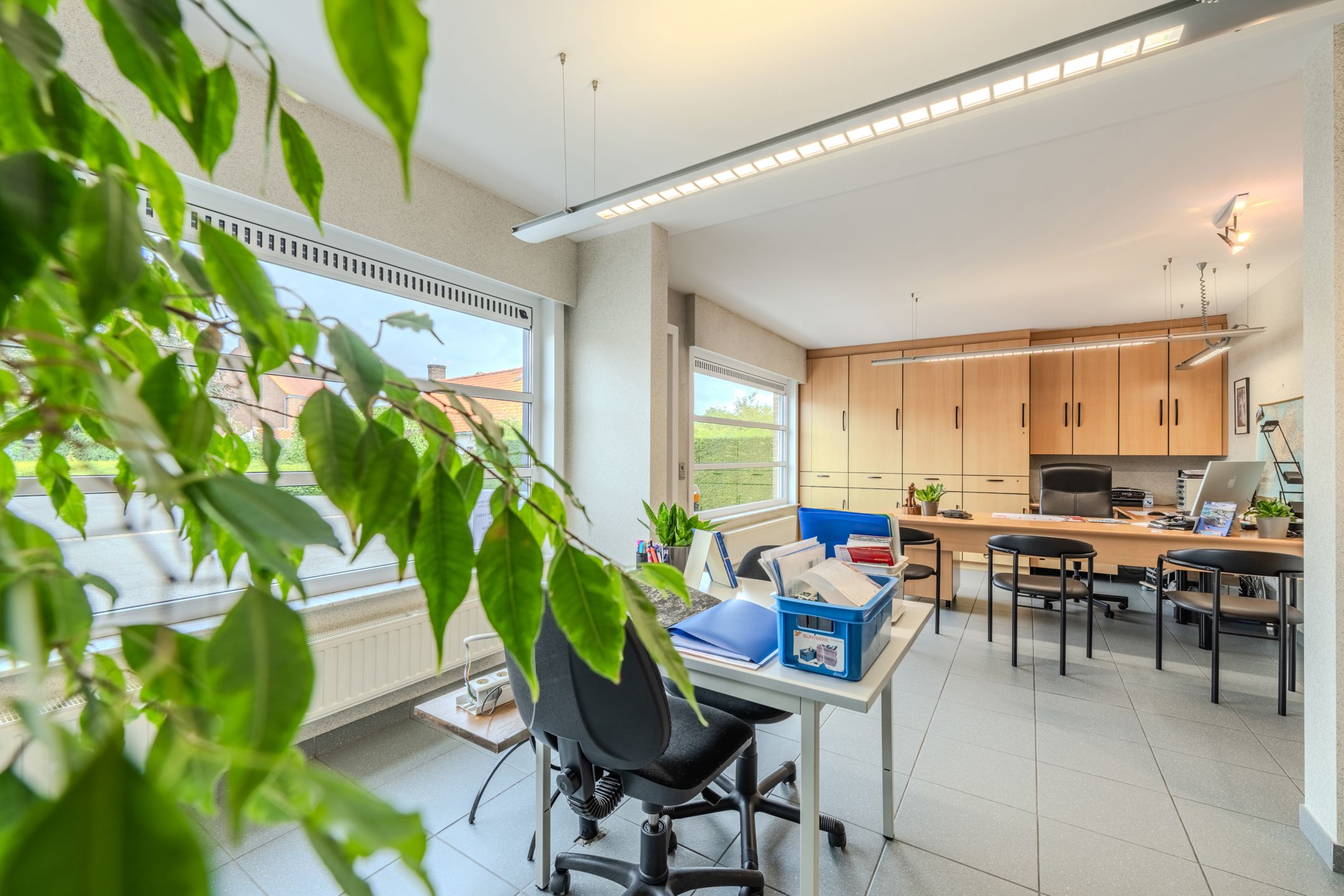 LOODS, BUREAU, WONING, OUDE HOEVE & BOUWGROND! foto 8