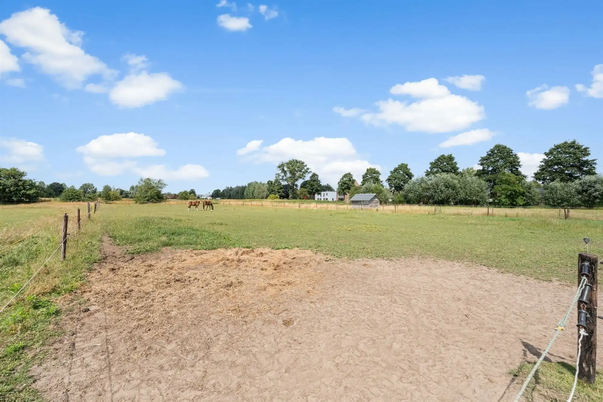Unieke eigendom van 14.139m² voor paarden- of dierenliefhebbers of wie droomt van ruimte  foto 9