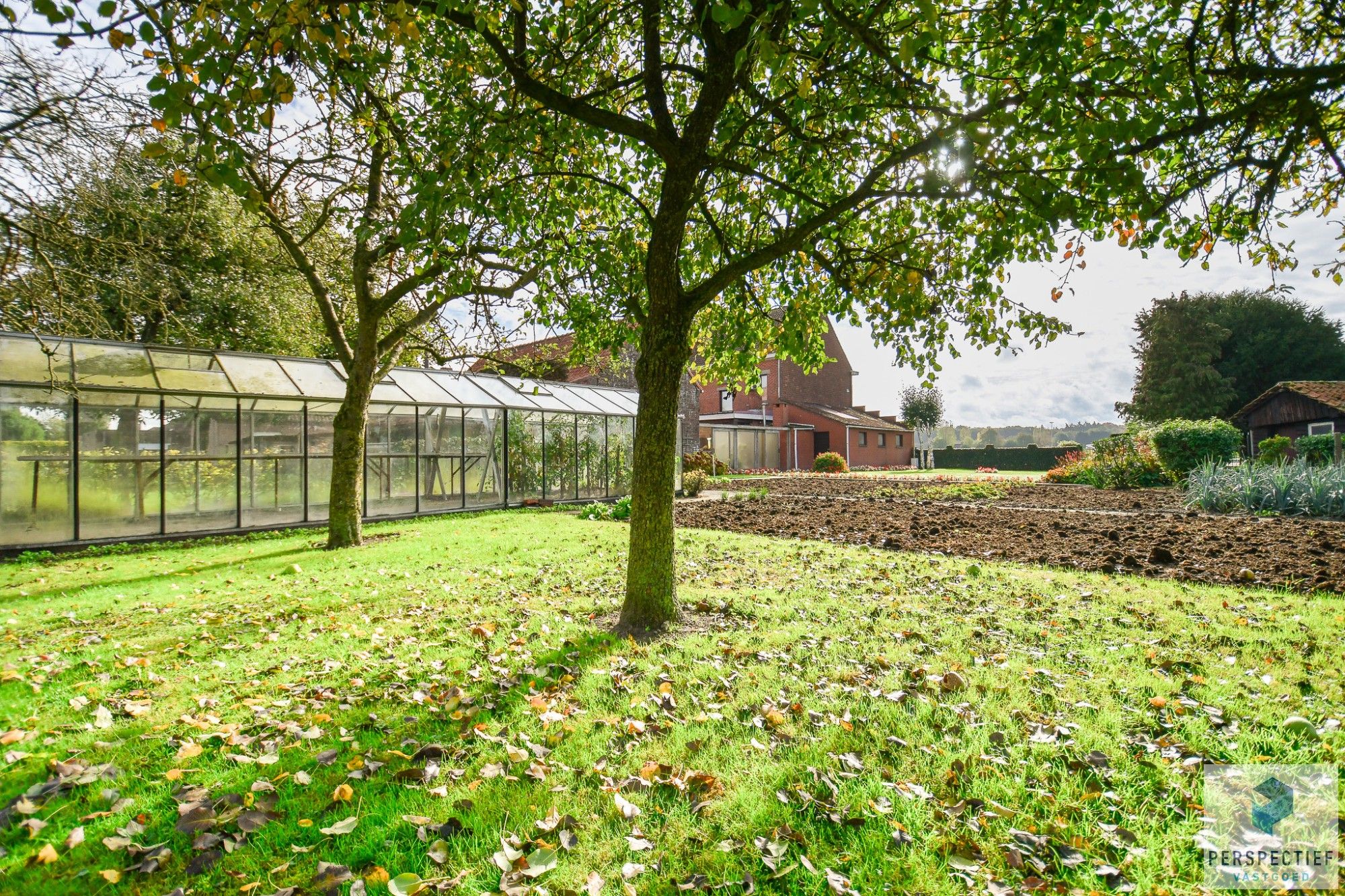 LANDELIJK GELEGEN WONING met SCHUUR  - BOOMGAARD - TUIN & MOESTUIN op 2138 m² foto 33