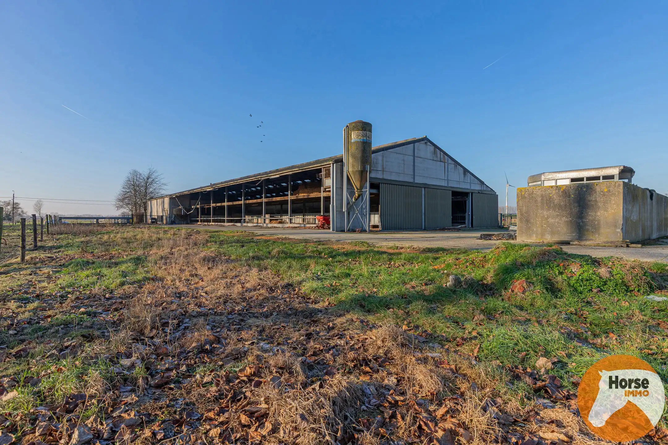 LAARNE- &nbsp;Landbouweigendom met geïntegreerde woning&nbsp; foto 16