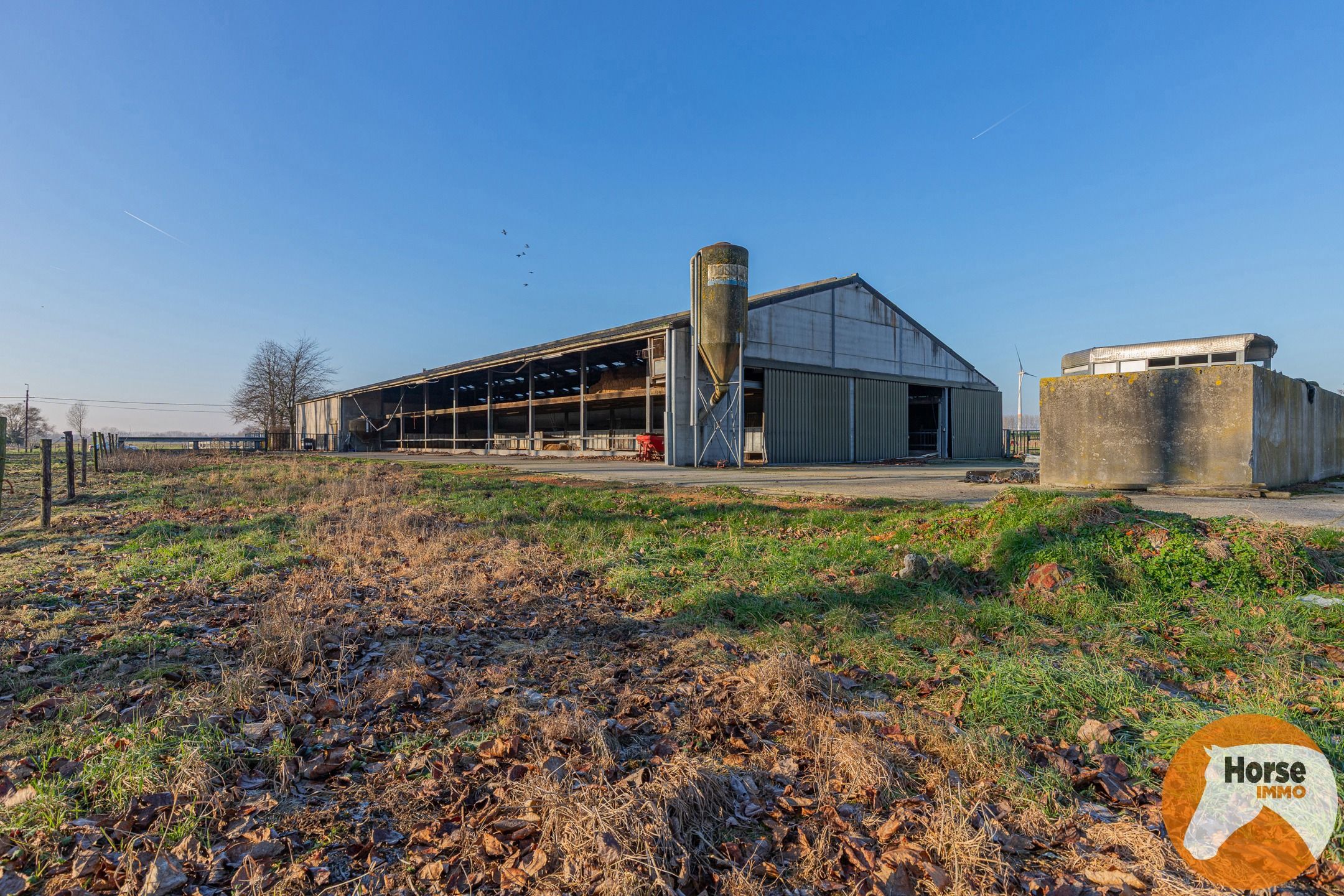 LAARNE- &nbsp;Landbouweigendom met geïntegreerde woning&nbsp; foto 16