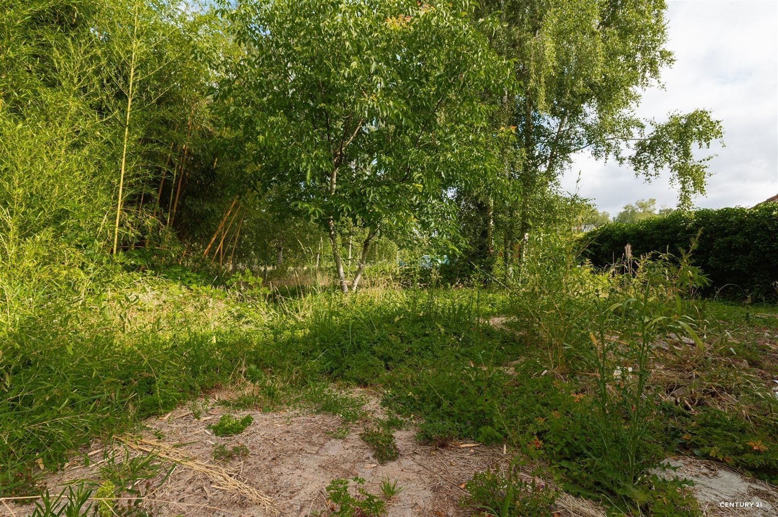 deels gerenoveerde woning met tuin op 12are34 foto 5