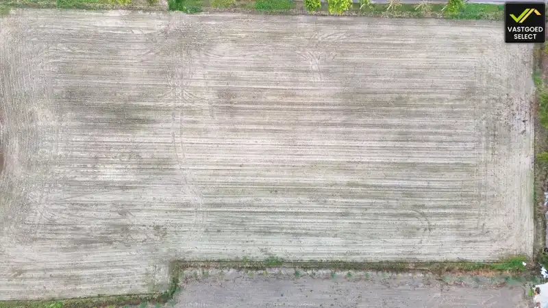 Te koop: Hoeve op 15.514 m² grond met potentieel – Moerstraat 14, Eeklo (nabij Sint-Laureins) foto 11