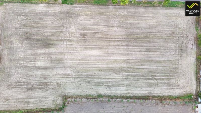 Te koop: Hoeve op 15.514 m² grond met potentieel – Moerstraat 14, Eeklo (nabij Sint-Laureins) foto 11