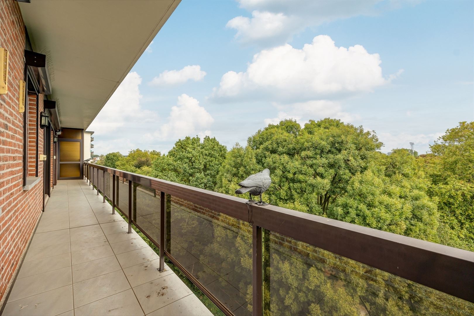 Appartement met zicht op het Runcvoortpark foto 3