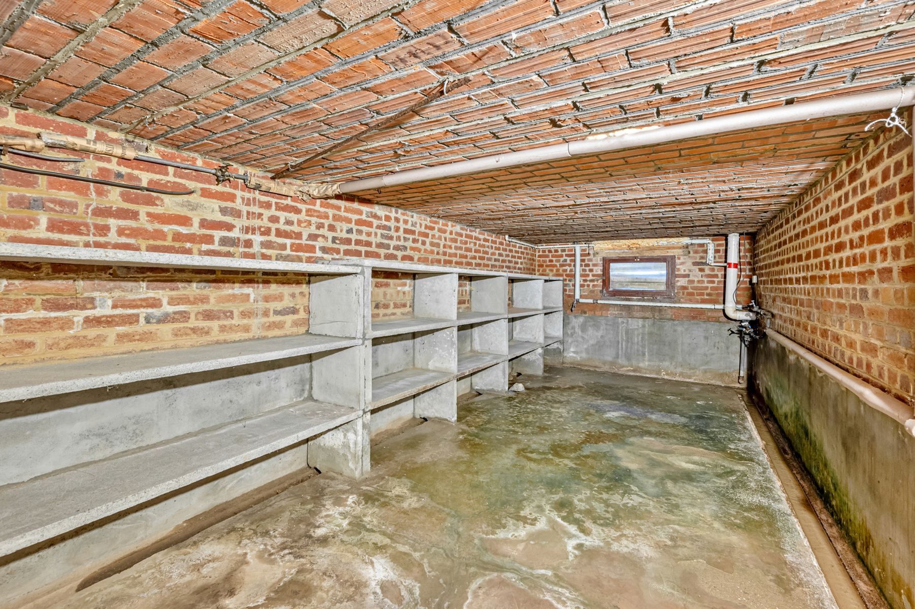 Te renoveren hoeve op een prachtig perceel van 5075 m² foto 25