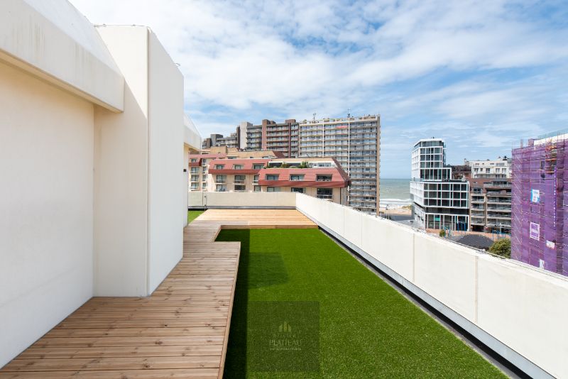 Vernieuwd dakappartement met zeer groot dakterras. foto 30