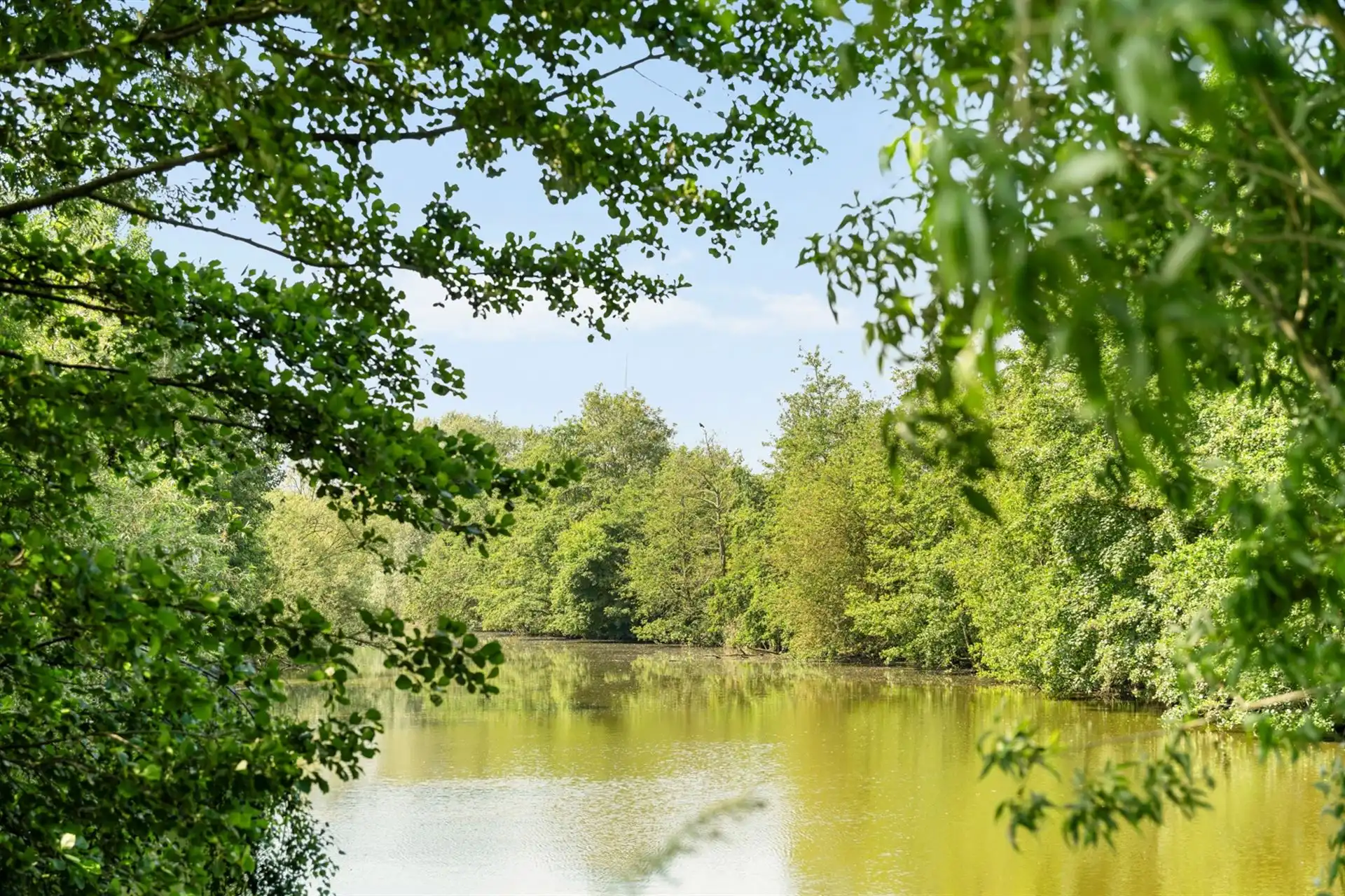 Exclusieve villa op unieke topligging aan een Scheldearm foto 31