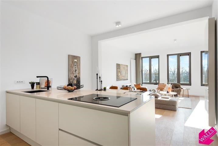 Prachtig en lichtrijk appartement met terras foto 5