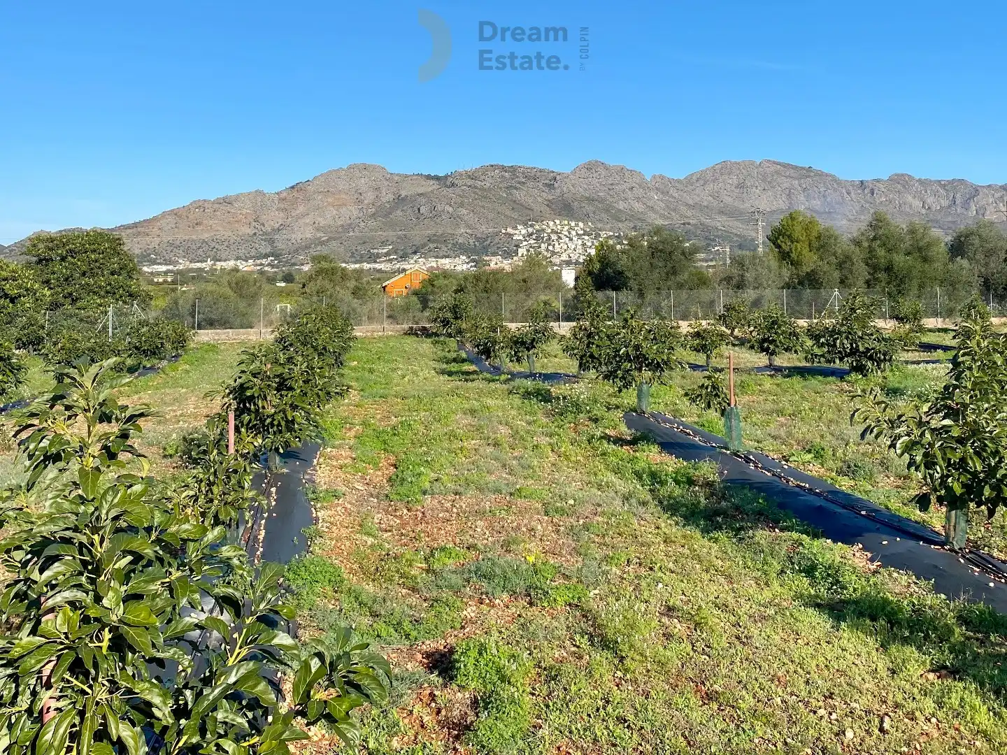 Villa Benidoleig – Exclusieve Nieuwbouwvilla met Avocadoplantage en Panoramisch Uitzicht Benidoleig, Costa Blanca foto 7