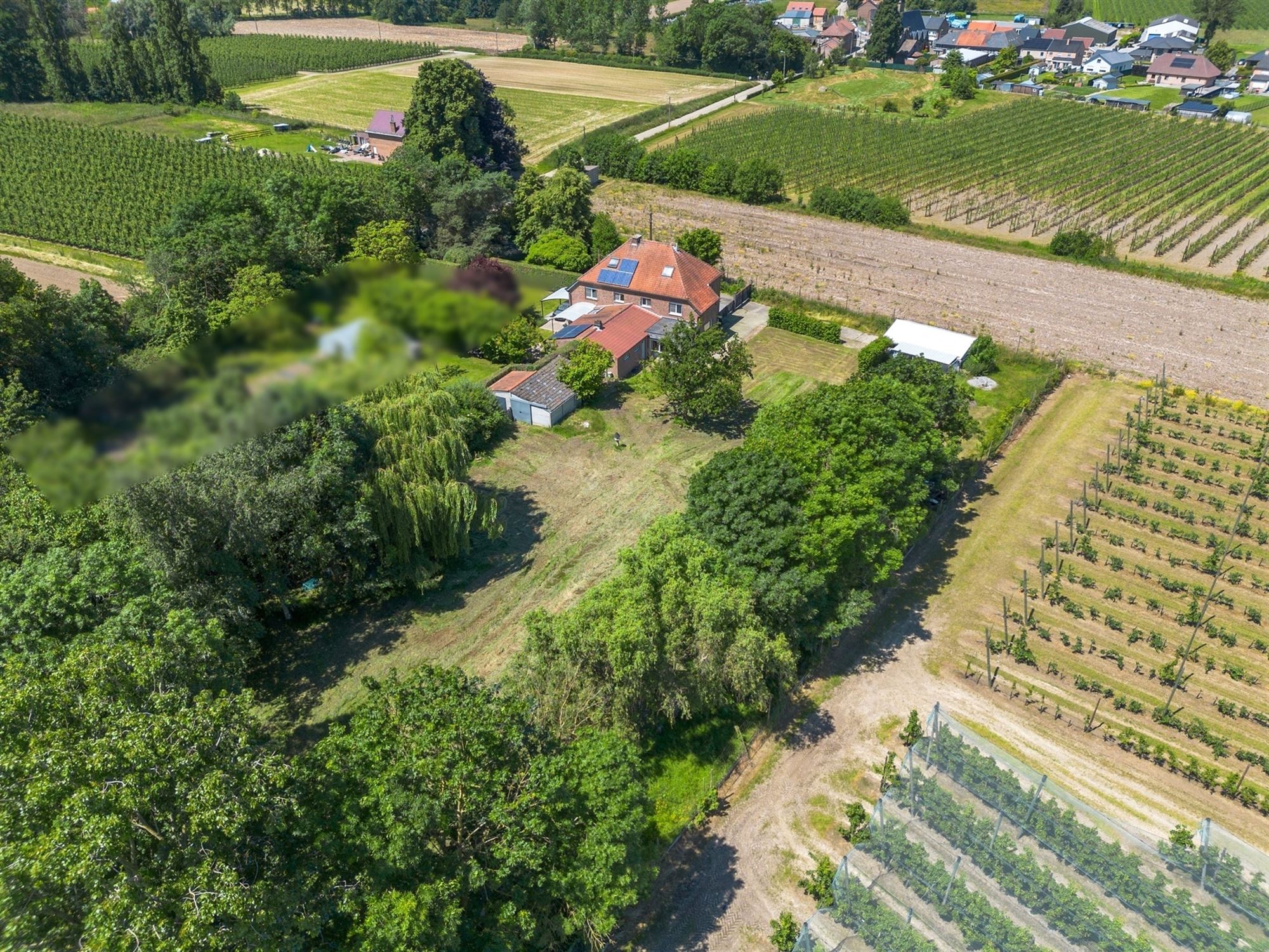 WONING MET VEEL POTENTIEEL OP EEN PERCEEL GROND VAN 35A EN DE MOGELIJKHEID TOT HET BIJKOPEN VAN BIJNA 2HA WEI foto 7