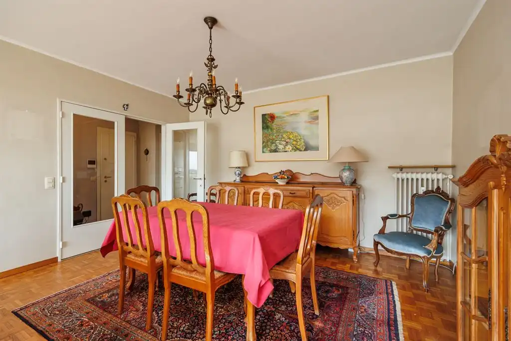 3-slpk appartement met ruim terras en autostaanplaats vlakbij Te Boelaerpark foto 7