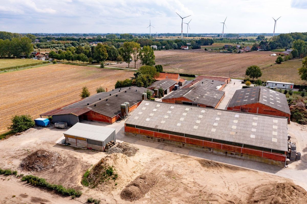 Hoeve op 4,13 ha te koop te Kaprijke foto 9