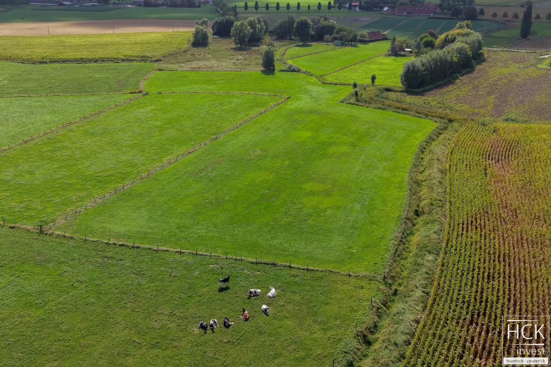 RUISELEDE - Twee percelen landbouwgrond, geheel van 12.880 m² groot foto 3