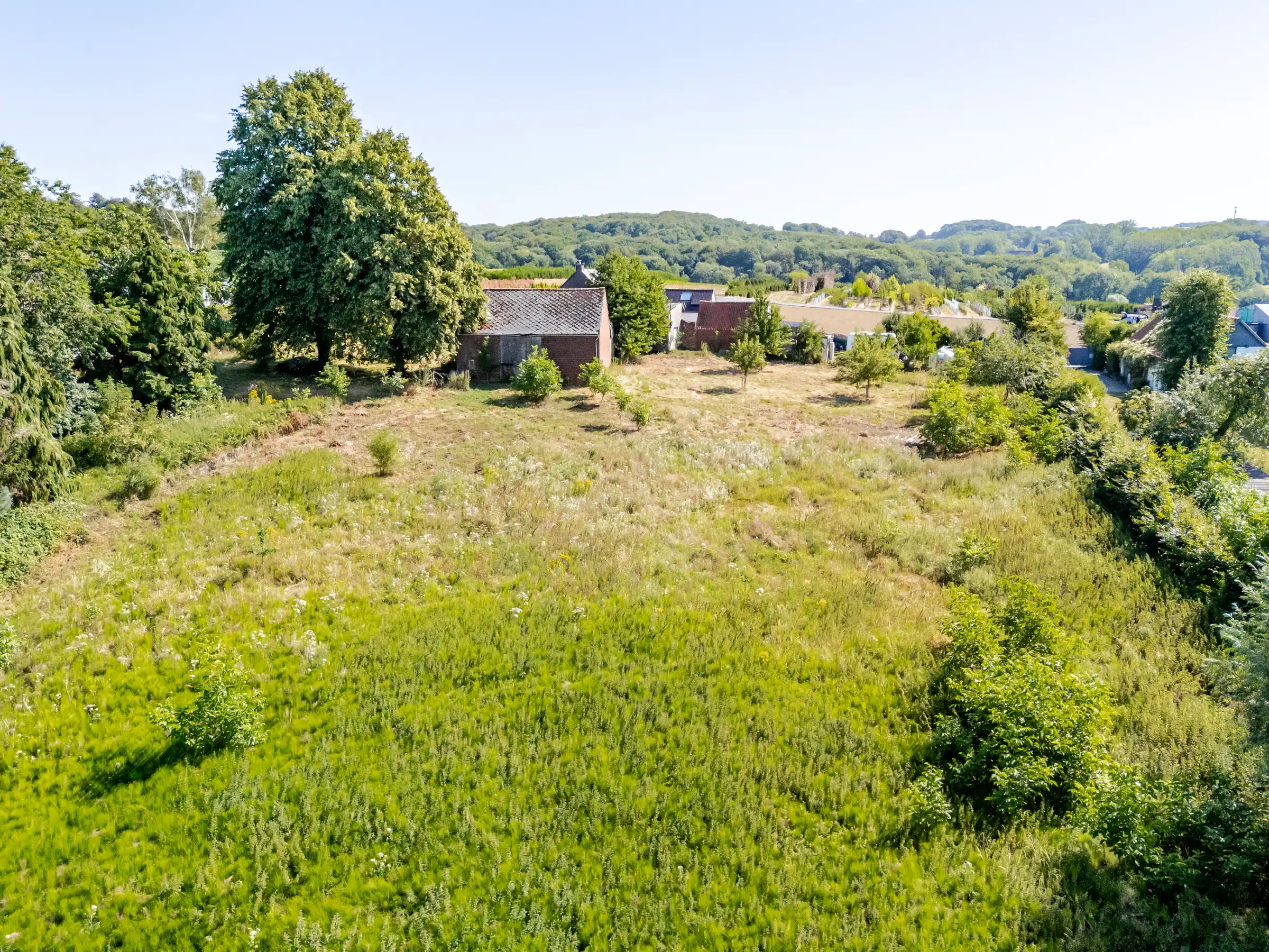 Uitzonderlijke bouwgrond met 14.220 m² aan de Kanarieberg foto 5
