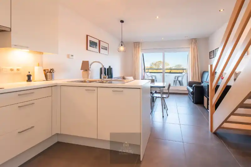 Recent duplex-appartement met één slaapkamer en slaaphoek. foto 12