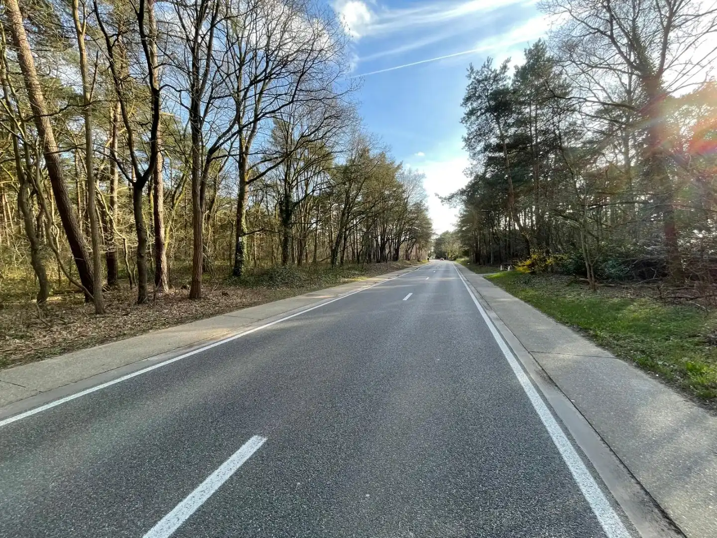 EXCLUSIEF PRIVÉ BOS VAN 2,7 HECTARE – MOL (DE ROOY) foto 7