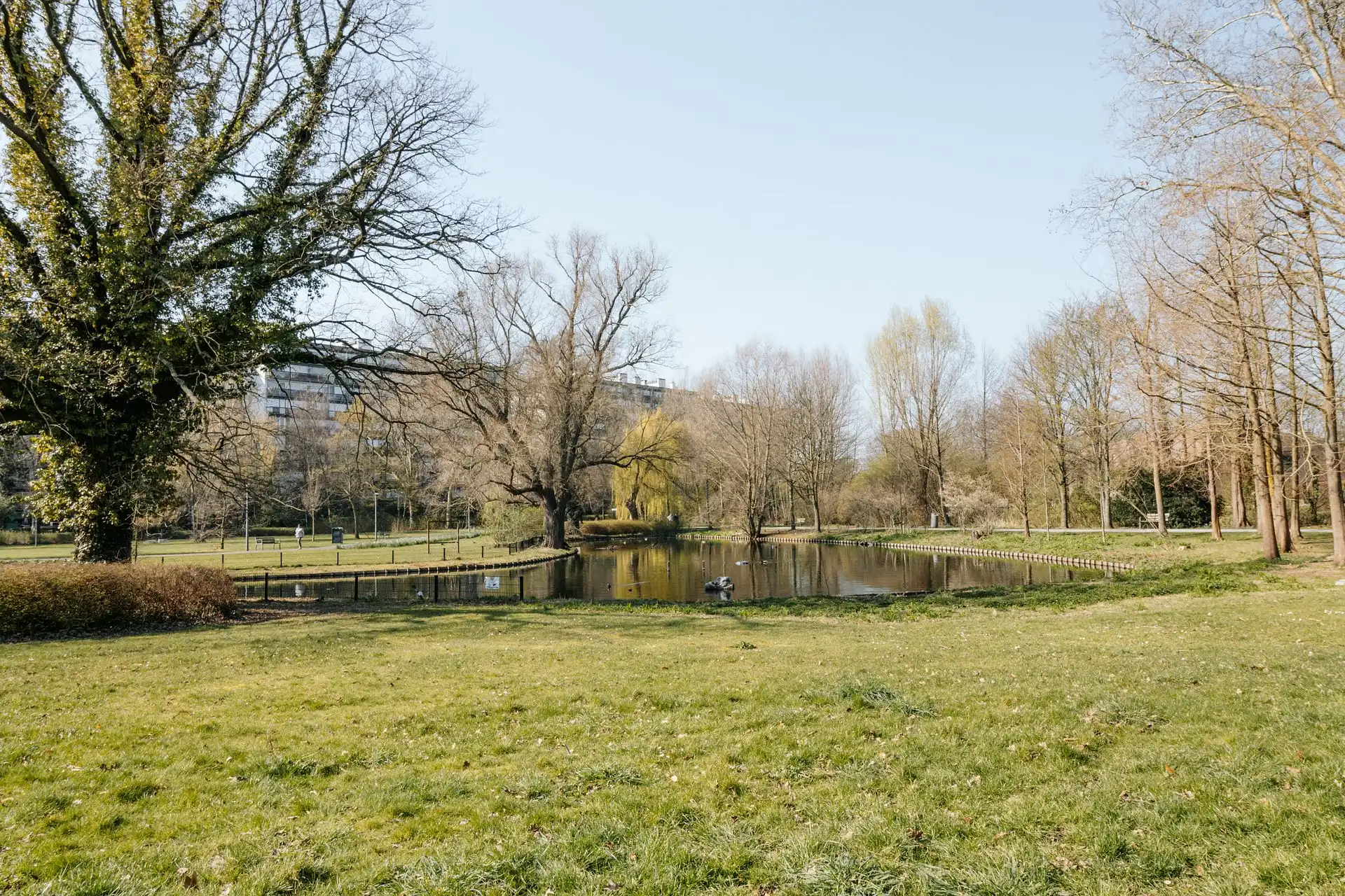 Instapklaar appartement met twee terrassen in Merksem foto 15