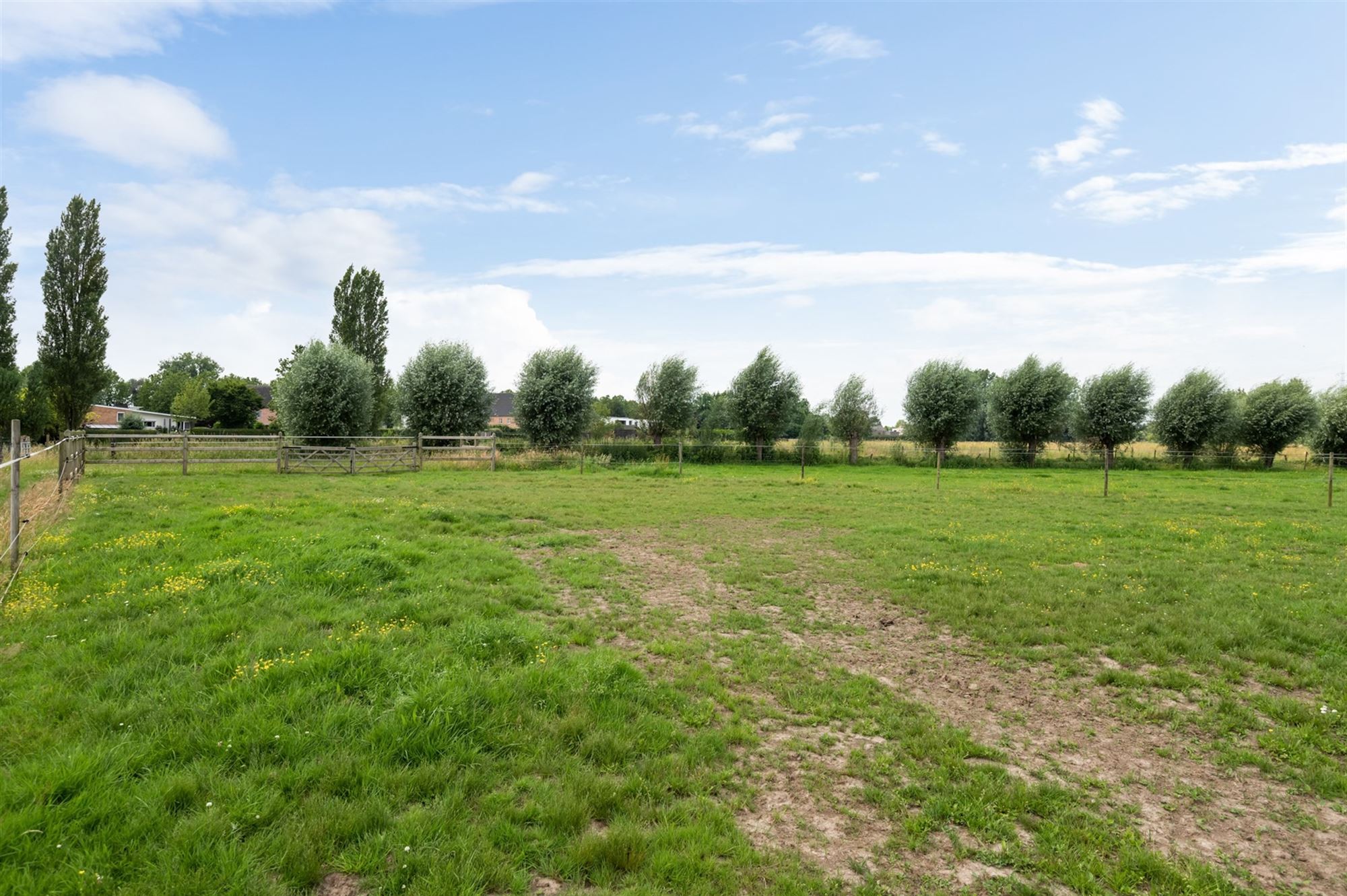 Prachtige paardenweide met stallen en piste foto 9