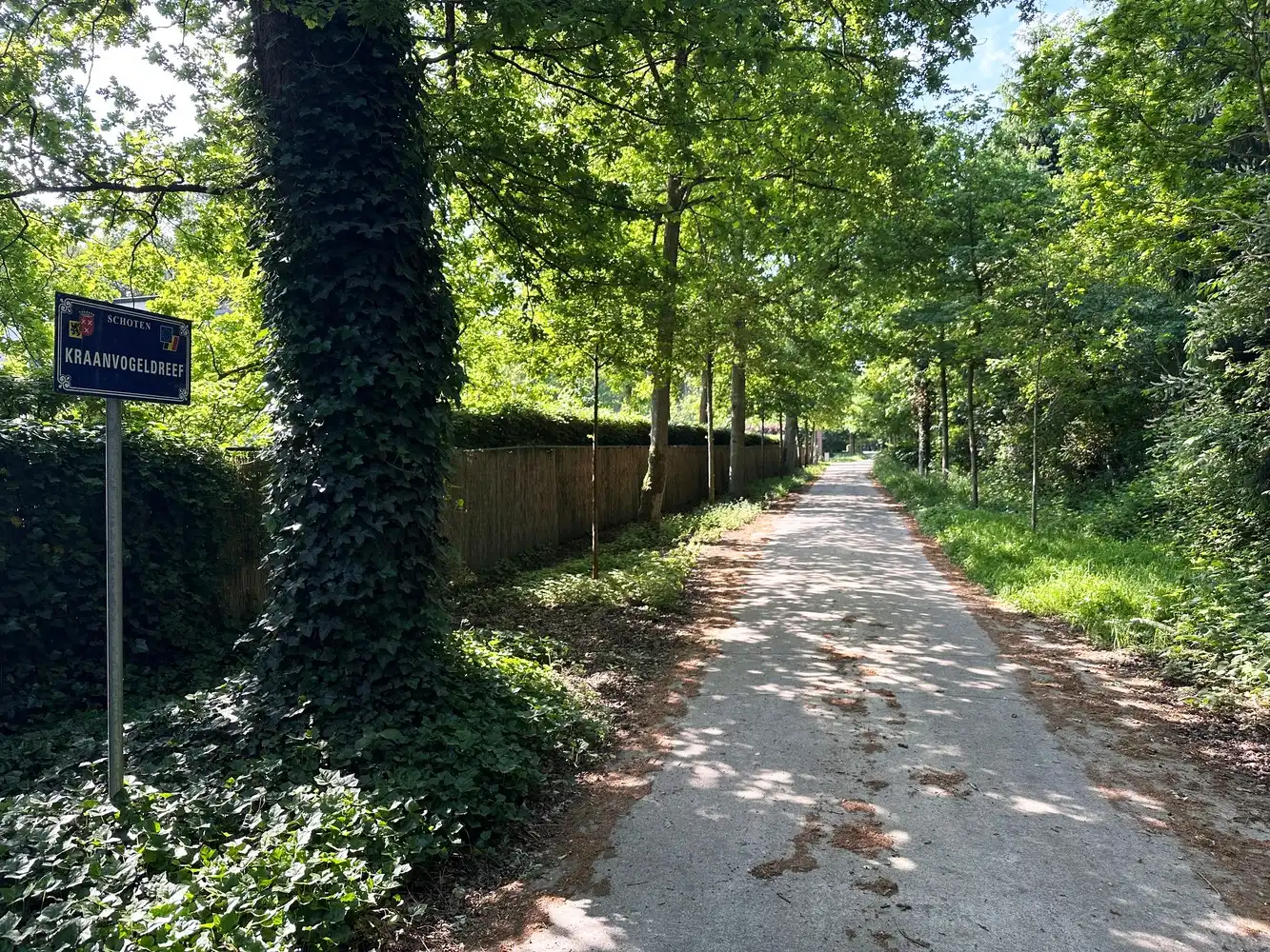 Unieke bouwgrond (5.150m²) omringd door groen & privacy in de Zeurt te Schoten! foto 2