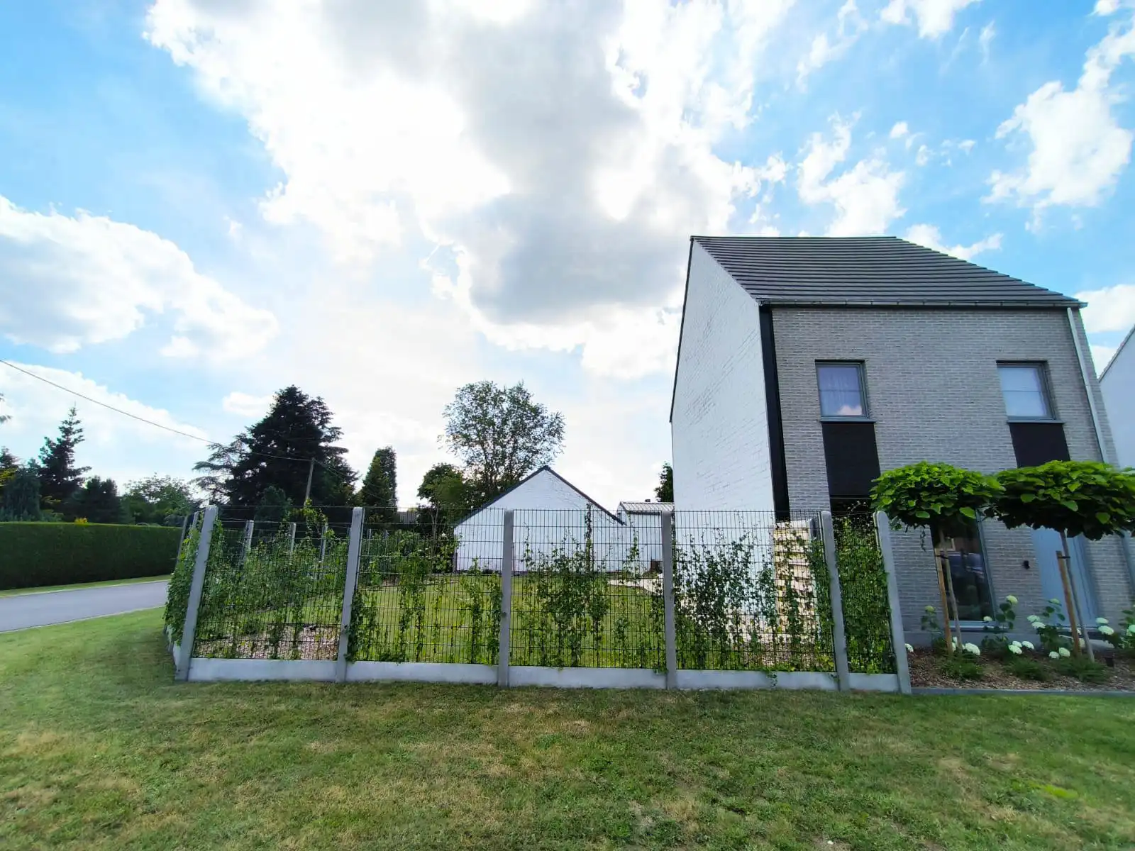 Mooi perceel voor HOB op ca. 253 m² inclusief dubbele muur met de buren!  foto 4