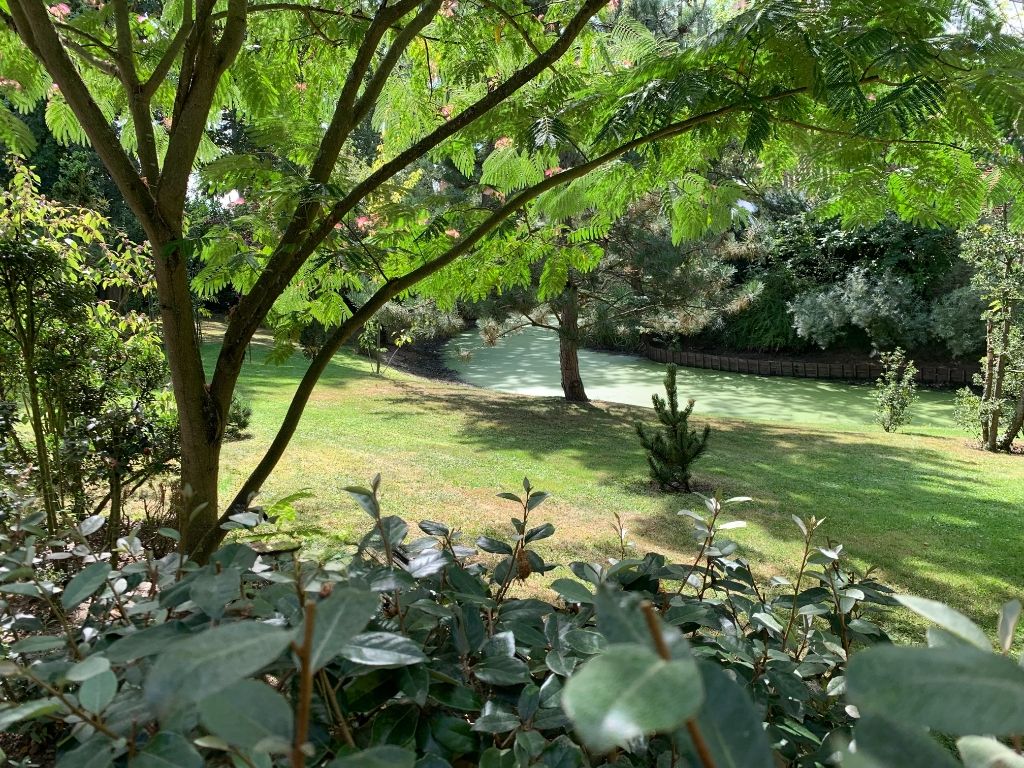 Architecturale laagbouwvilla met binnenzwembad en unieke beleving met het omliggende landschap. foto 8