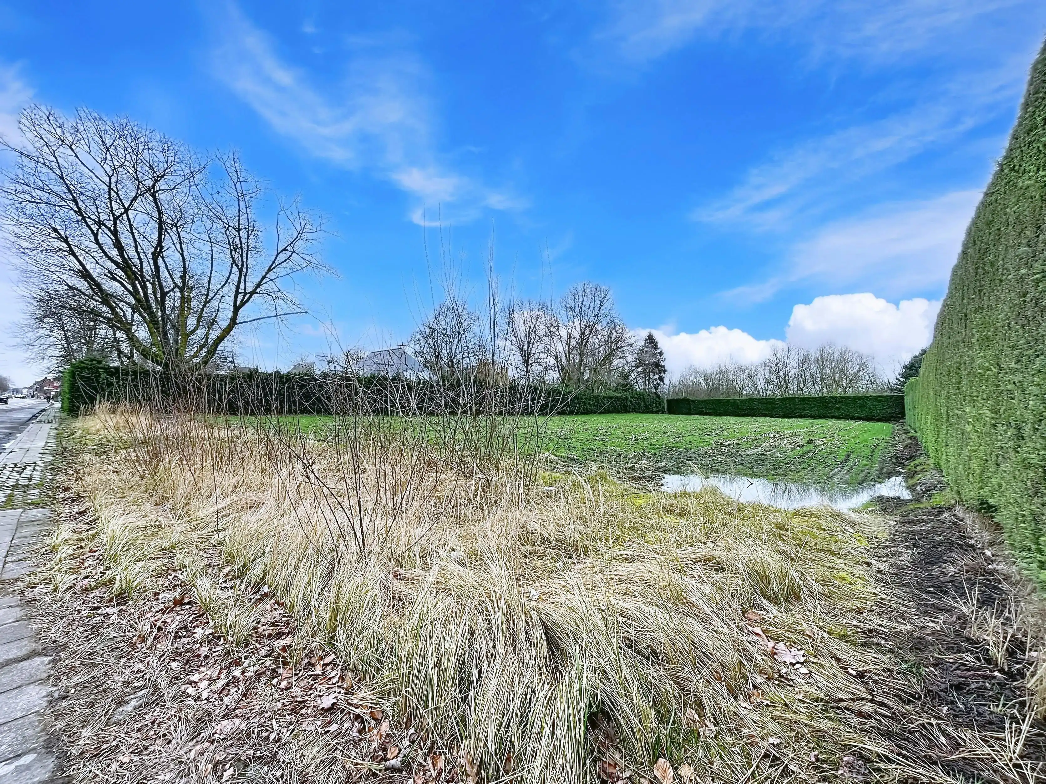 Uniek perceel bouwgrond van 3.421 m² te koop in Eeklo foto 8