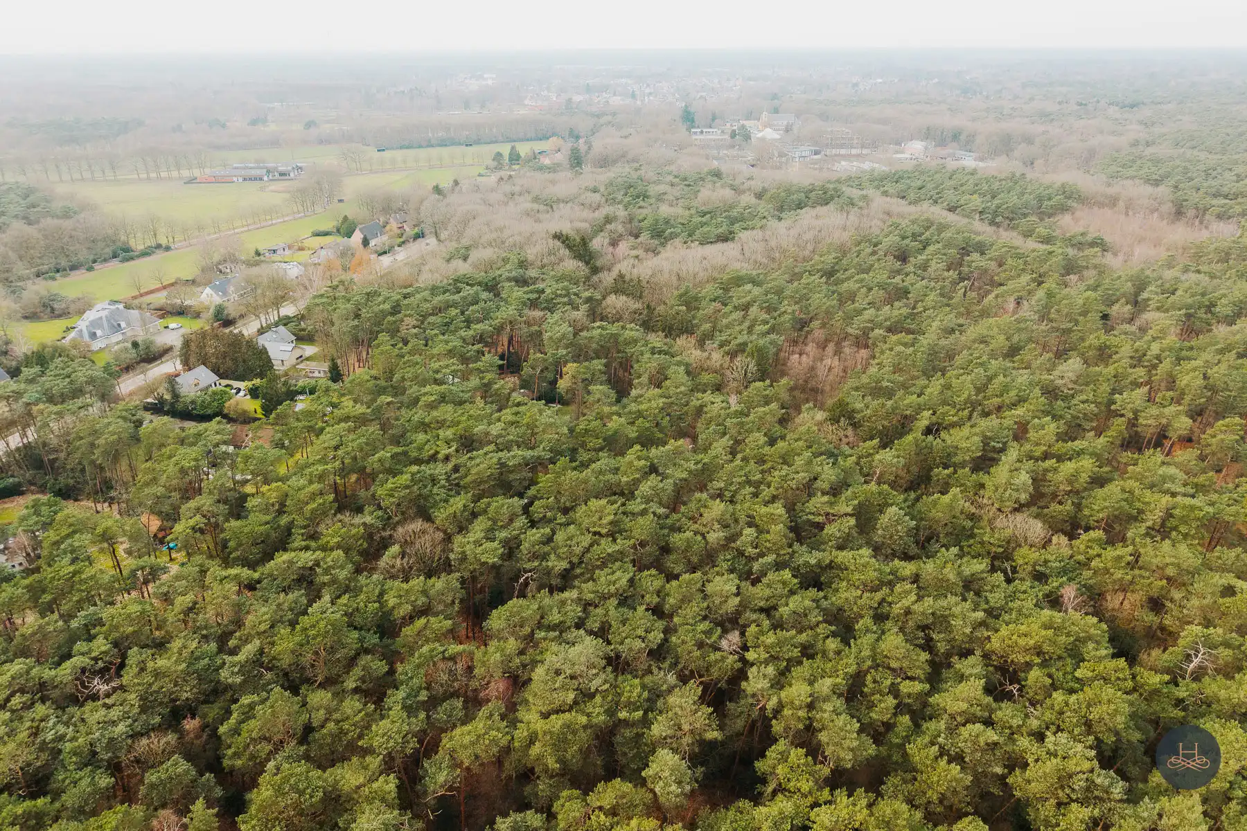 Prachtige bouwgrond van 10 are in bosrijke omgeving in Schilde foto 10