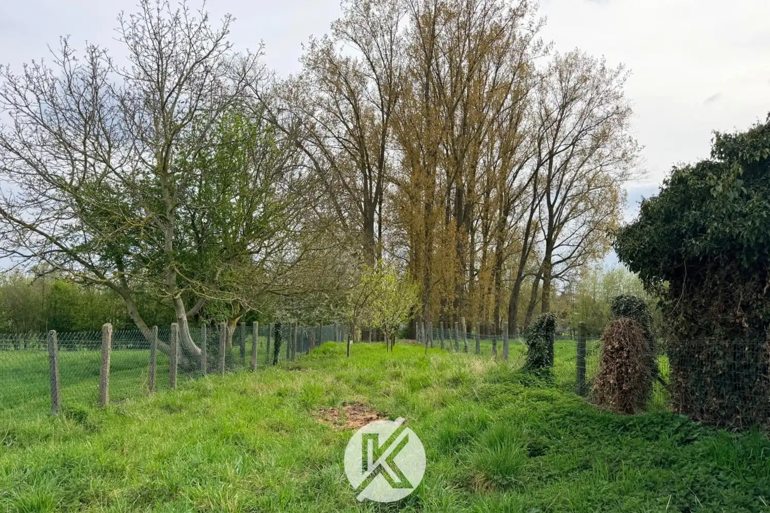 Rustig gelegen halfopen bebouwing foto 19