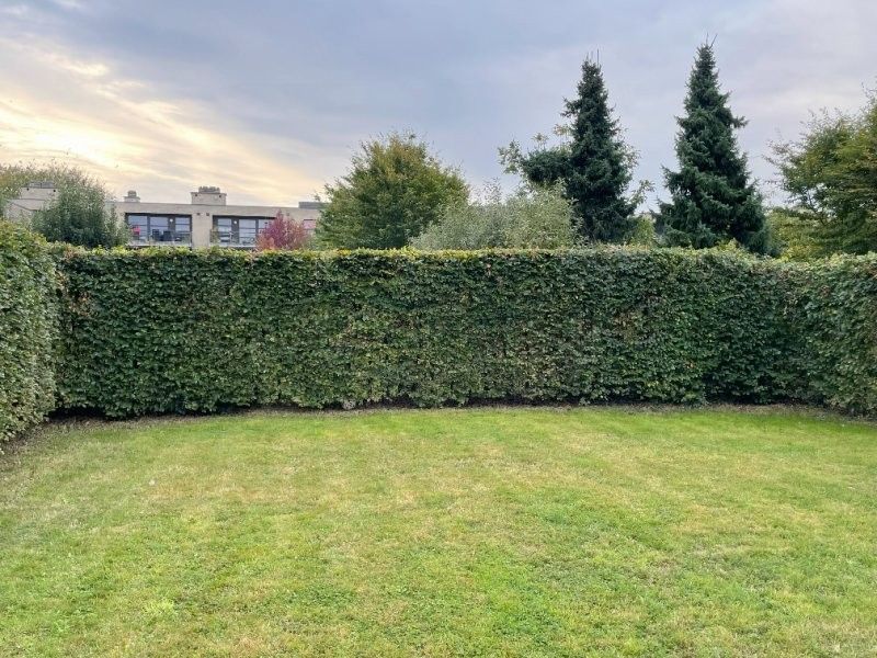 Huis te huur foto 2