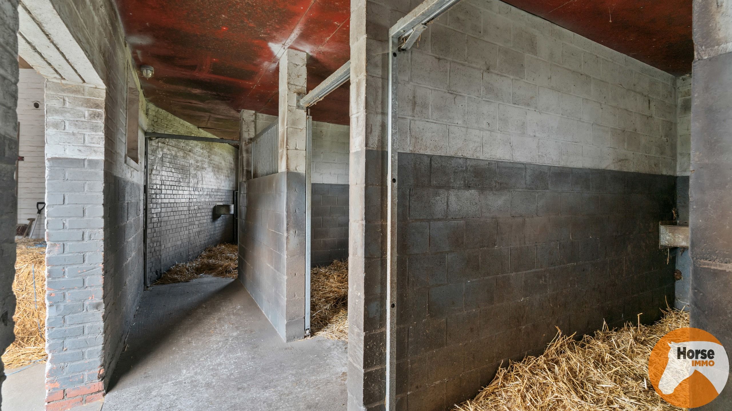 WORTEGEM-PETEGEM - Woning met bijgebouw, paardenaccomodatie foto 43