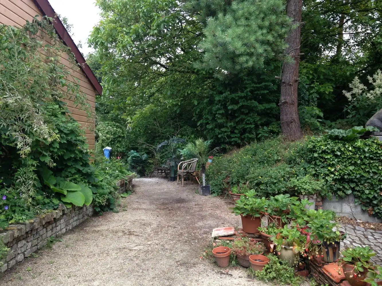 Unieke B&B in voormalige hoeve te Heks (Heers) – wonen, ondernemen en genieten in het groen foto 13