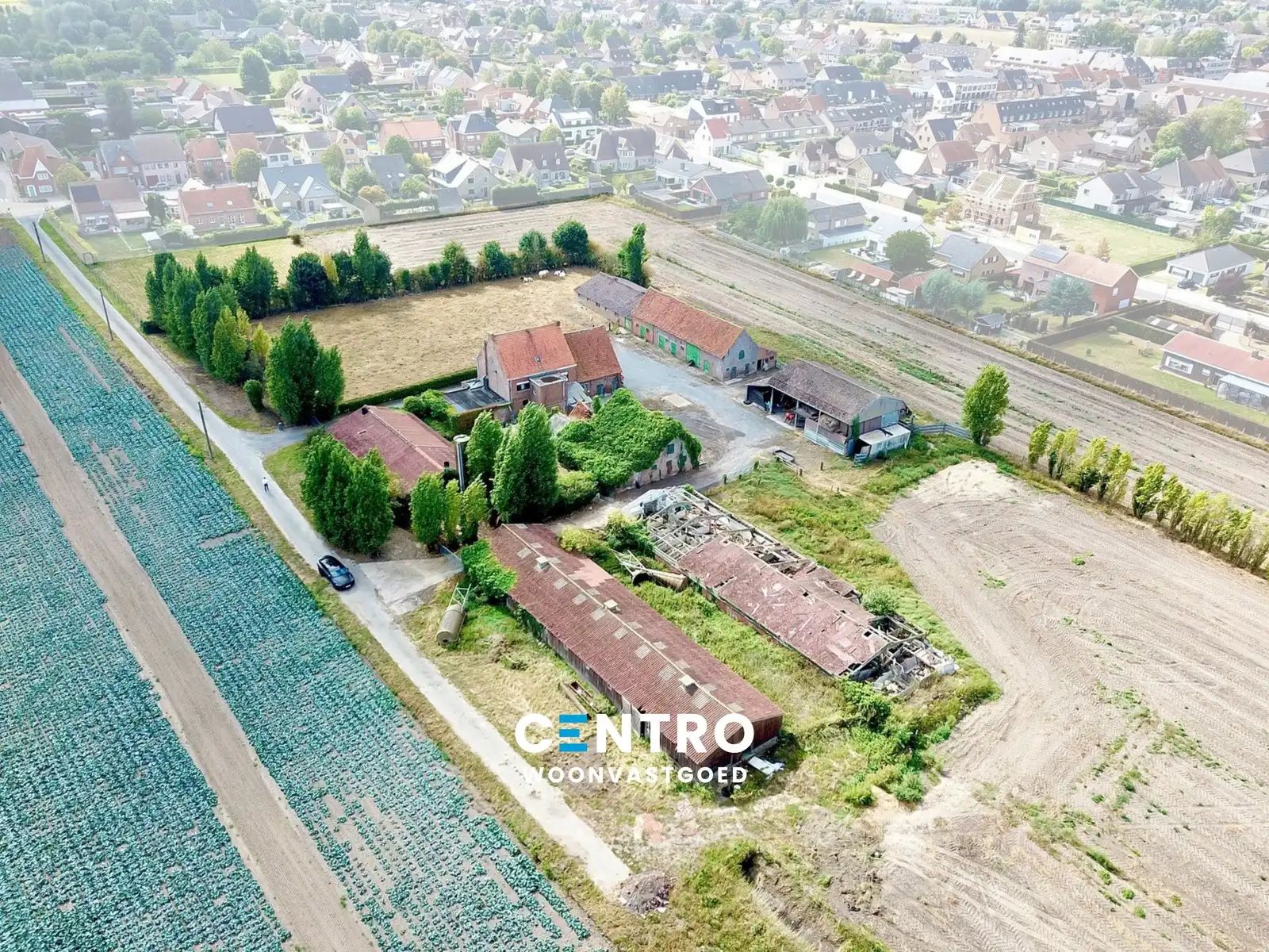 Te renoveren hoeve op circa 1 ha op GOEDE ligging! foto 5