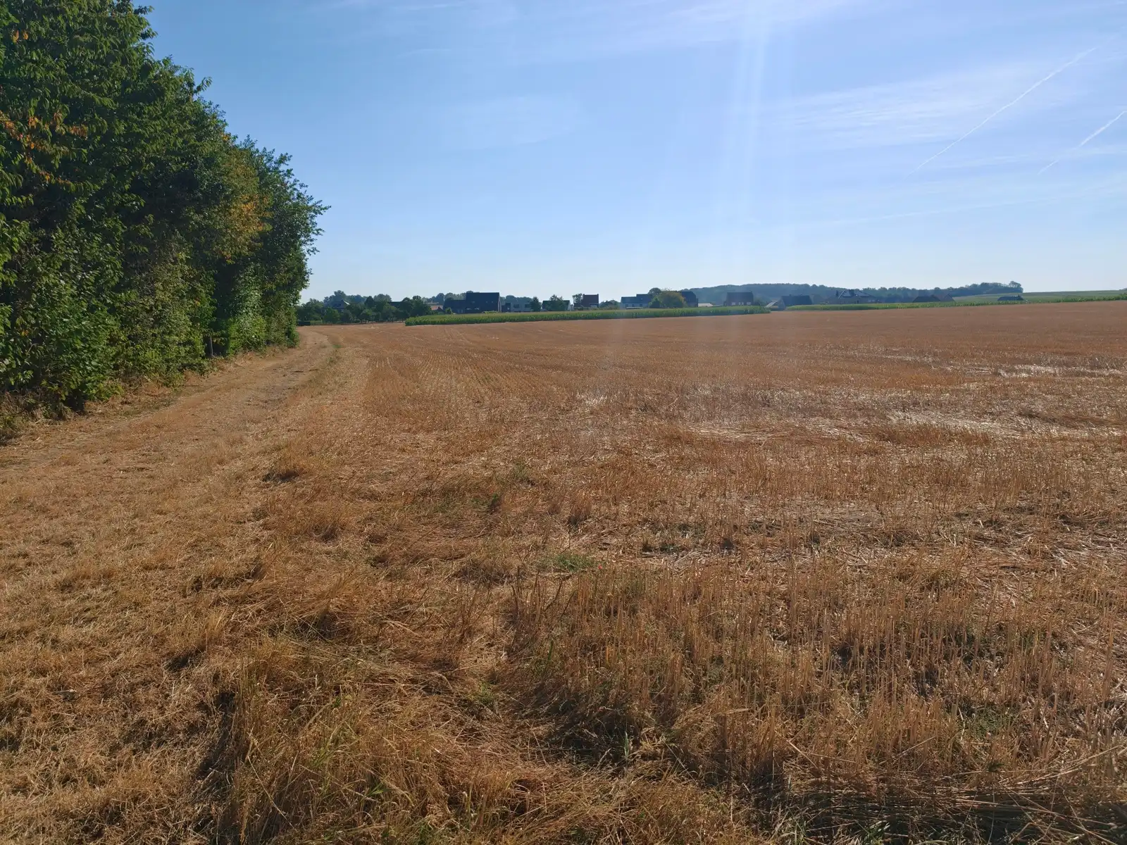 Prachtig stuk landbouwgrond op toplocatie in groene omgeving foto 3
