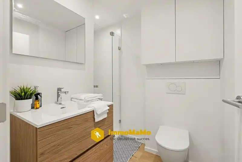 RECENT GERENOVEERD 1 SLAAPKAMER APPARTEMENT TE KOOP IN ZELZATE foto 9