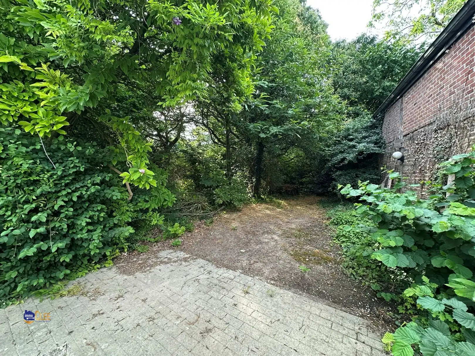 Bouwgrond en/of Projectgrond te Borlo foto 4