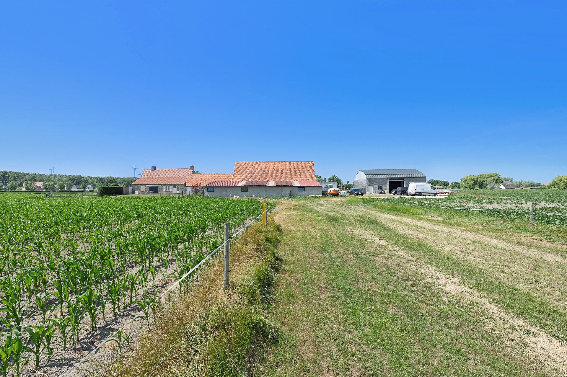 Unieke eigendom voor paardenliefhebbers te Knokke-Heist foto 6