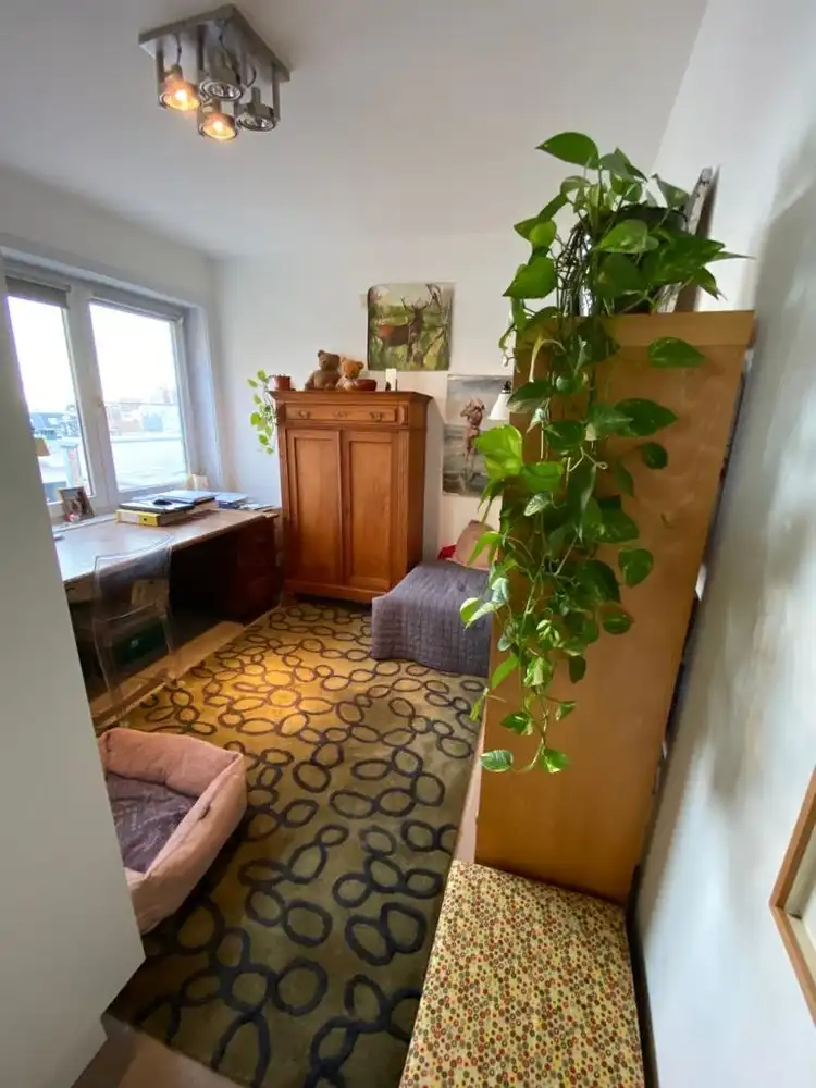 RESIDENTIE ORCHIDEE foto 12