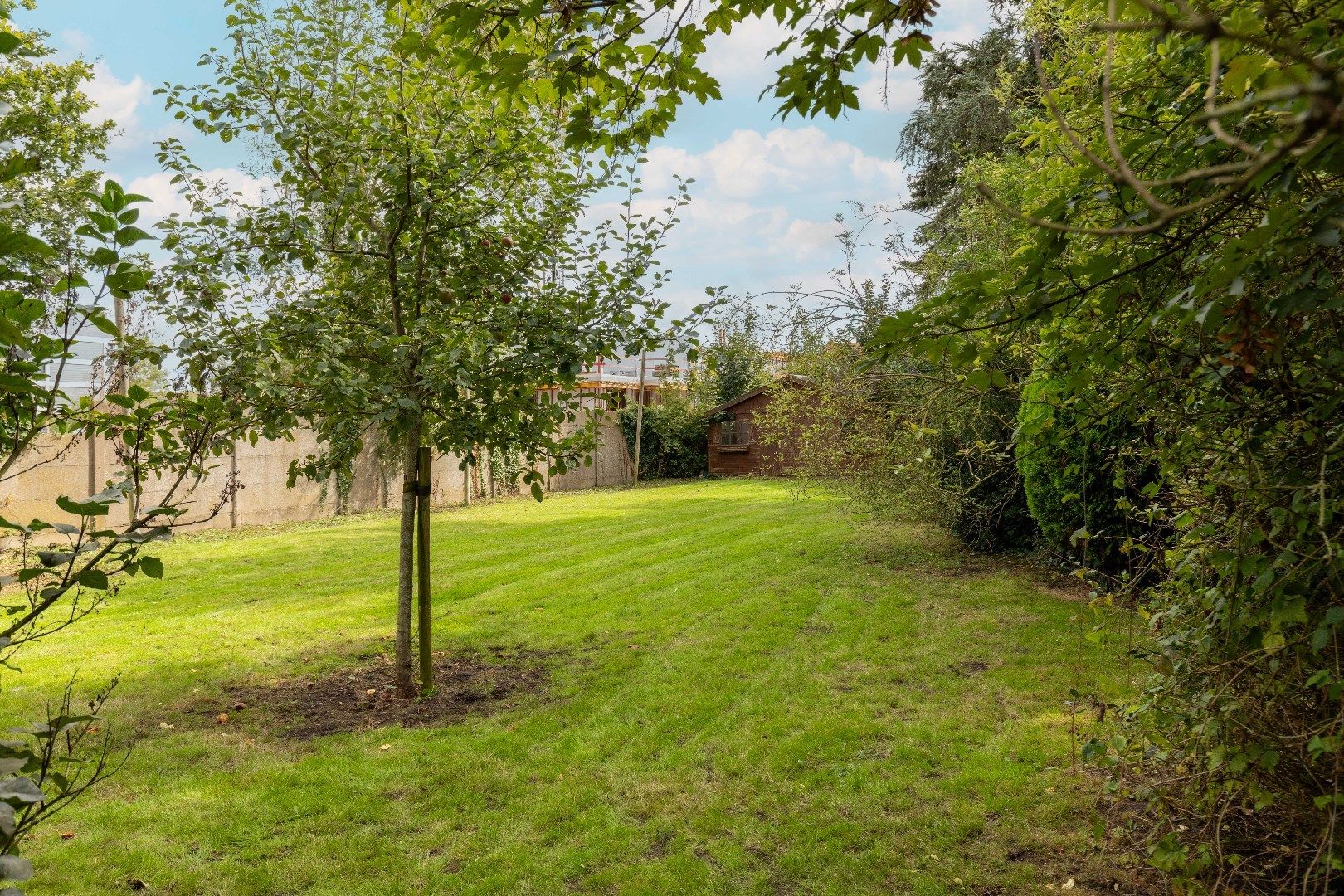 Karaktervolle, gerenoveerde en super energiezuinige woning met bureel en zonnig tuin nabij de Dampoort. foto 21